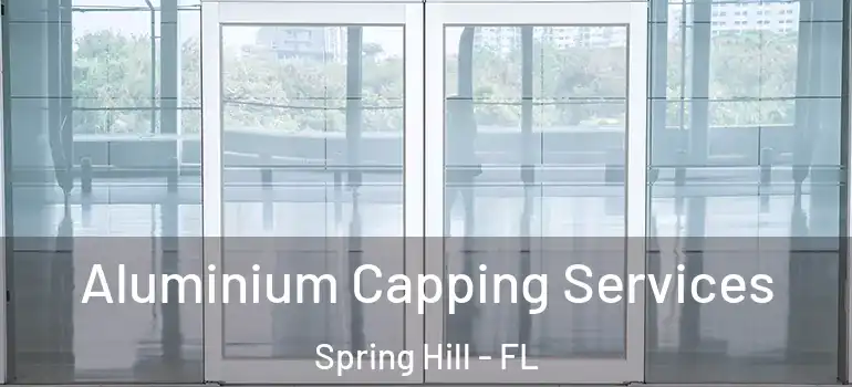Aluminium Capping Services Spring Hill - FL