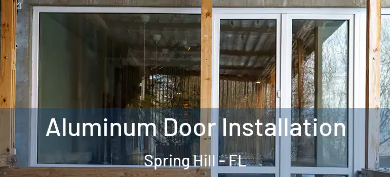 Aluminum Door Installation Spring Hill - FL