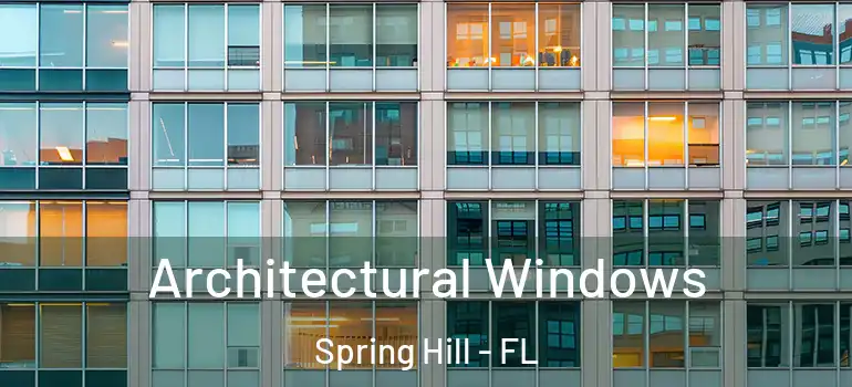 Architectural Windows Spring Hill - FL