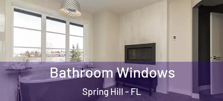 Bathroom Windows Spring Hill - FL