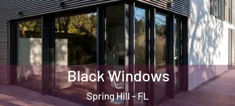 Black Windows Spring Hill - FL