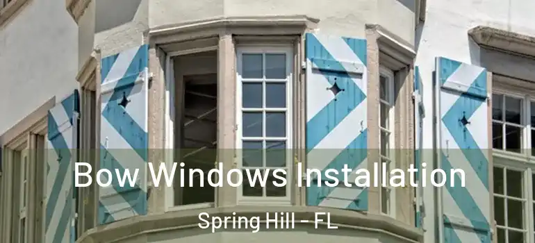 Bow Windows Installation Spring Hill - FL