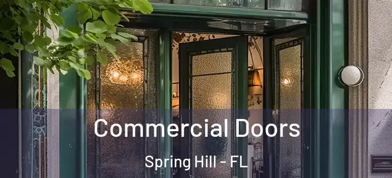 Commercial Doors Spring Hill - FL