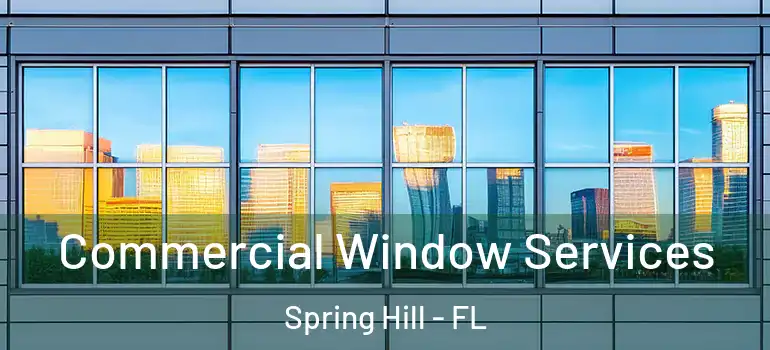 Commercial Window Services Spring Hill - FL