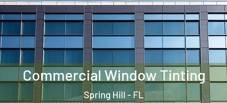 Commercial Window Tinting Spring Hill - FL