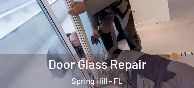  Door Glass Repair Spring Hill - FL