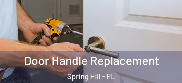 Door Handle Replacement Spring Hill - FL