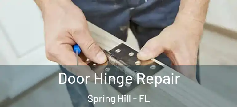 Door Hinge Repair Spring Hill - FL