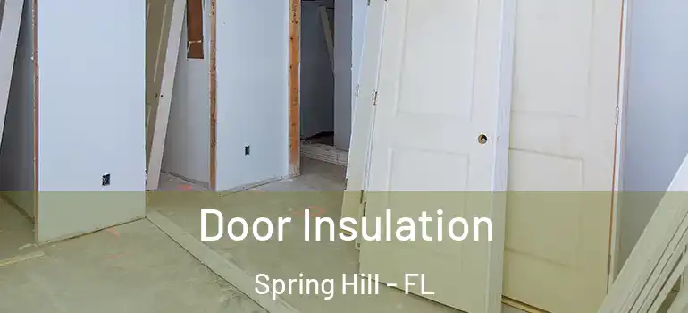  Door Insulation Spring Hill - FL