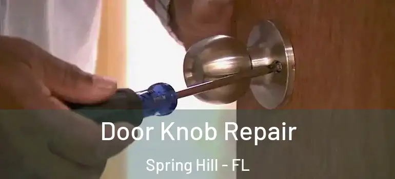 Door Knob Repair Spring Hill - FL