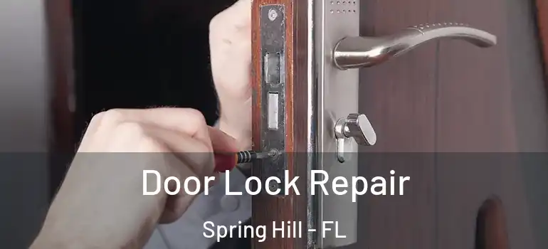 Door Lock Repair Spring Hill - FL