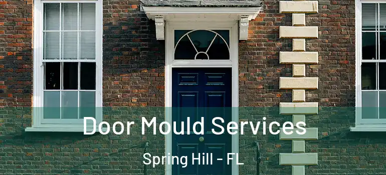 Door Mould Services Spring Hill - FL