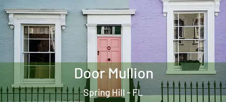 Door Mullion Spring Hill - FL
