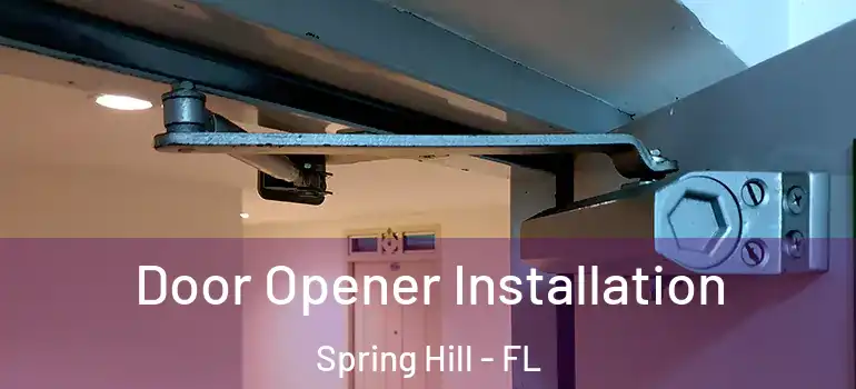 Door Opener Installation Spring Hill - FL