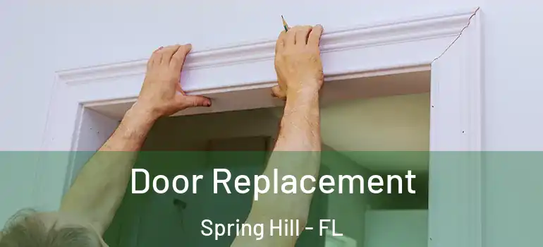  Door Replacement Spring Hill - FL
