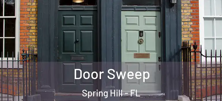 Door Sweep Spring Hill - FL