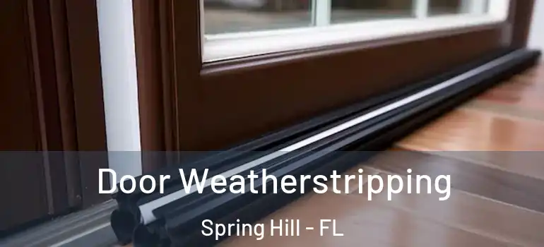  Door Weatherstripping Spring Hill - FL