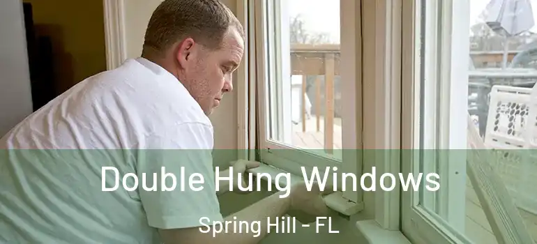 Double Hung Windows Spring Hill - FL