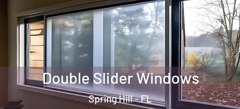 Double Slider Windows Spring Hill - FL