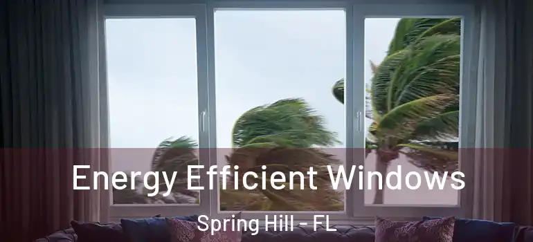 Energy Efficient Windows Spring Hill - FL
