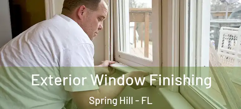 Exterior Window Finishing Spring Hill - FL