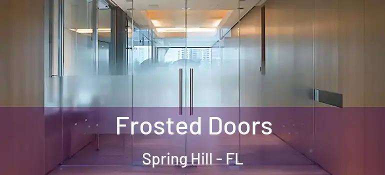 Frosted Doors Spring Hill - FL
