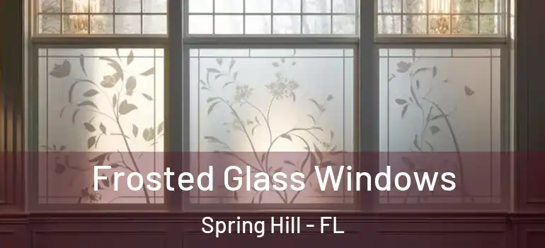 Frosted Glass Windows Spring Hill - FL