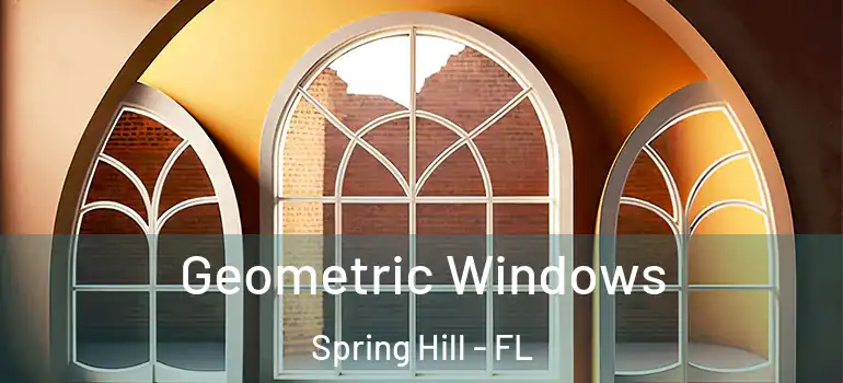 Geometric Windows Spring Hill - FL
