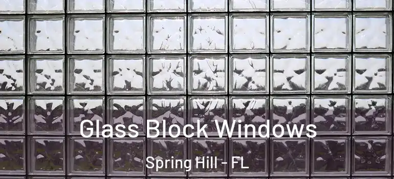 Glass Block Windows Spring Hill - FL