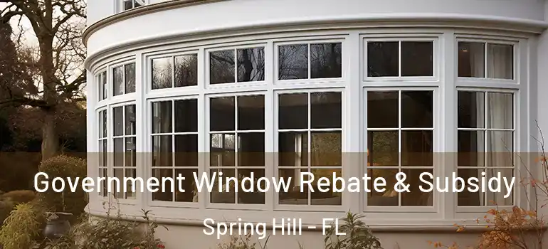 Government Window Rebate & Subsidy Spring Hill - FL