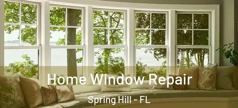Home Window Repair Spring Hill - FL