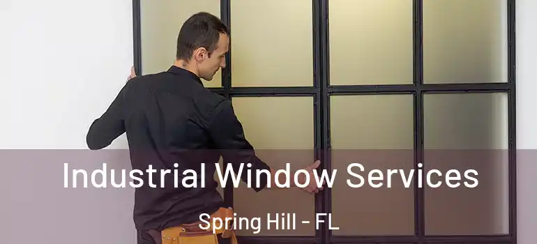 Industrial Window Services Spring Hill - FL