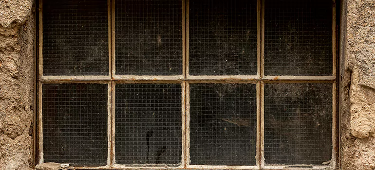 Traditional Double Front Doors in Spring Hill, FL
