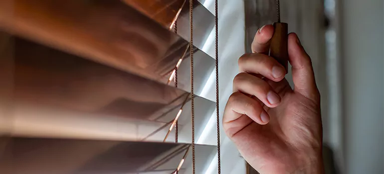 Double Roller Blinds in Spring Hill, FL