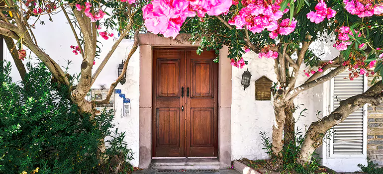 Traditional 4 Panel Internal Doors in Spring Hill, FL