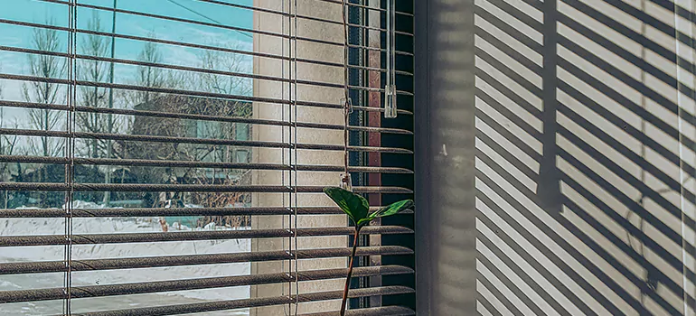 Commercial Window Blinds in Spring Hill, FL