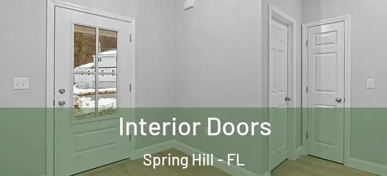 Interior Doors Spring Hill - FL