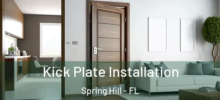 Kick Plate Installation Spring Hill - FL