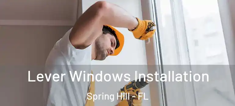Lever Windows Installation Spring Hill - FL