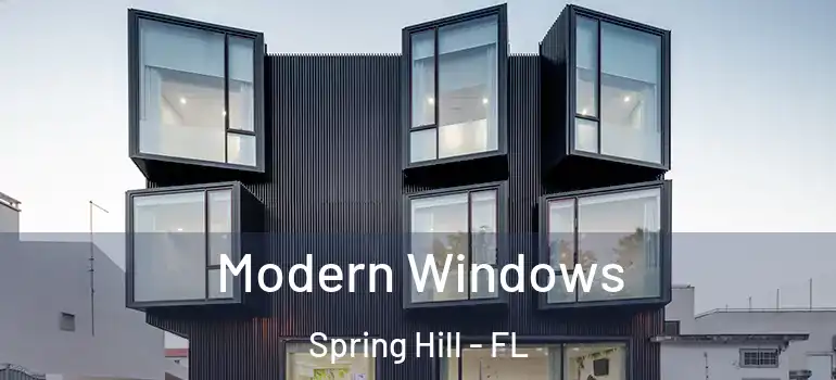 Modern Windows Spring Hill - FL