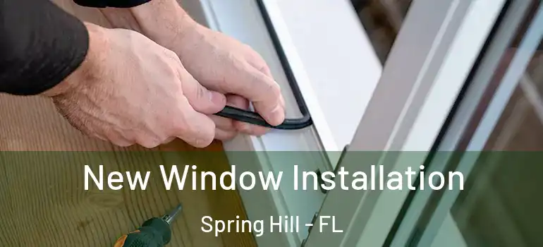 New Window Installation Spring Hill - FL