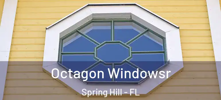Octagon Windowsr Spring Hill - FL