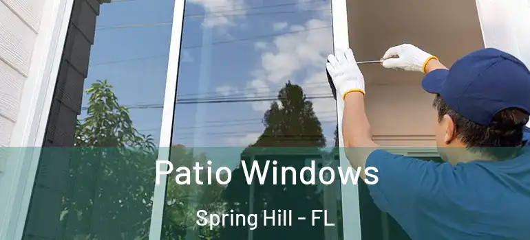 Patio Windows Spring Hill - FL