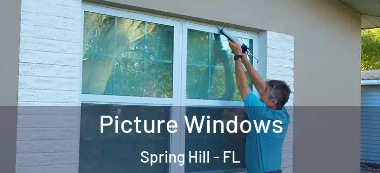  Picture Windows Spring Hill - FL