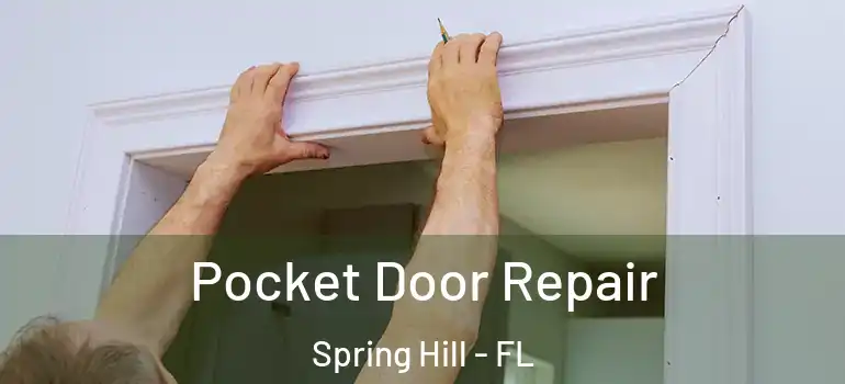  Pocket Door Repair Spring Hill - FL
