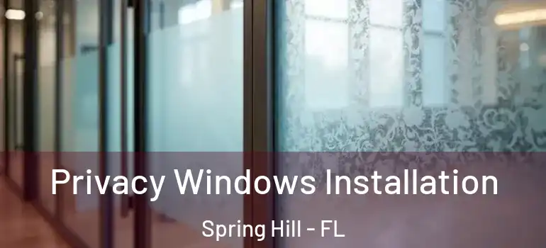 Privacy Windows Installation Spring Hill - FL