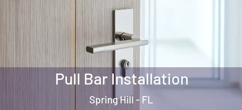 Pull Bar Installation Spring Hill - FL