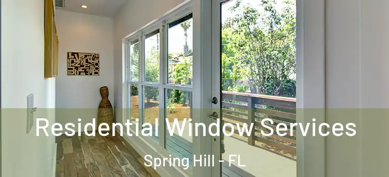 Residential Window Services Spring Hill - FL
