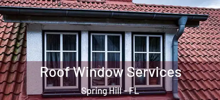 Roof Window Services Spring Hill - FL