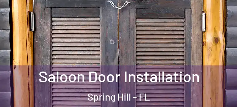 Saloon Door Installation Spring Hill - FL